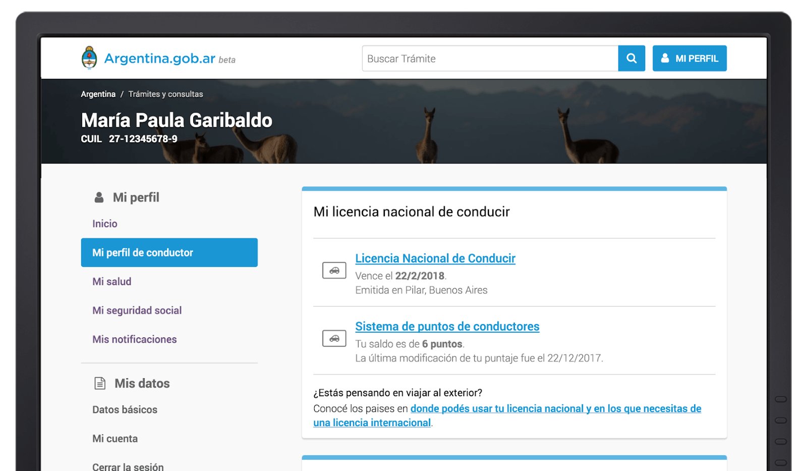 Mi Argentina citizen profile showing a digital national driver's licence and driver points balance, with example data.